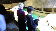 Ruth Dorrough; Jacob Grant Wheeler; Aquarium Boston, MA